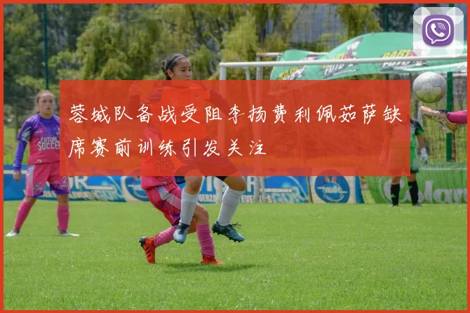蓉城队备战受阻李扬费利佩茹萨缺席赛前训练引发关注