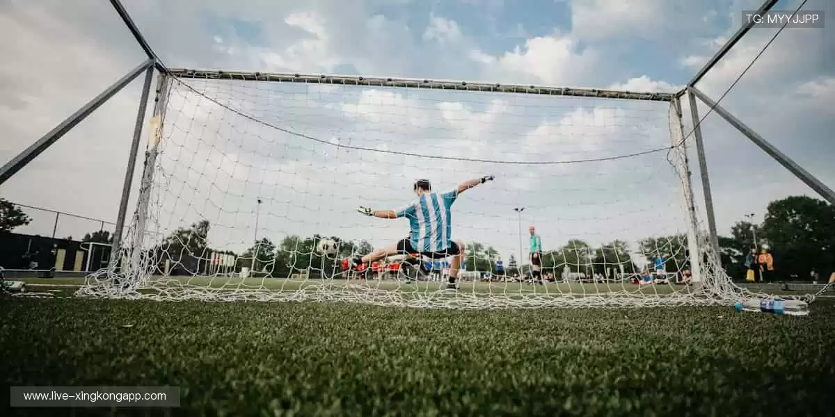 🎁限量发售，专属你的收藏时刻！